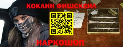 СК Новодвинск