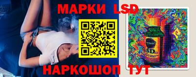 СК Новодвинск