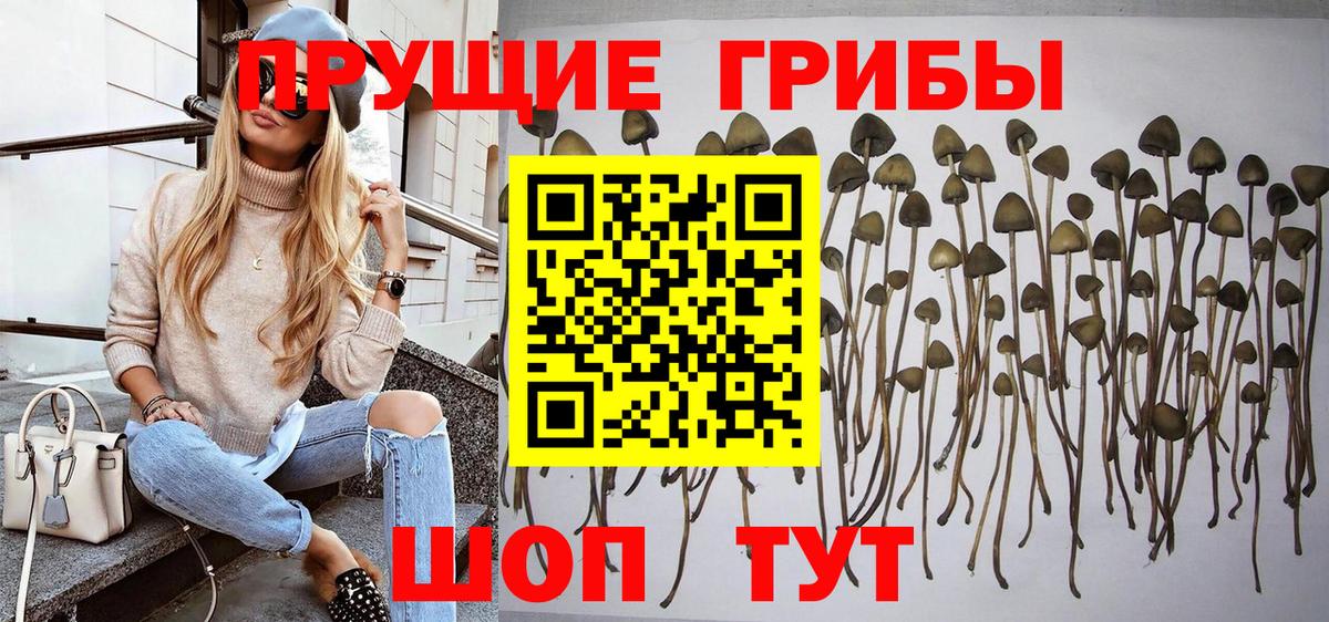 как найти наркотики  Вход с VPN  Семёнов  Галлюциногенные грибы Magic Shrooms 