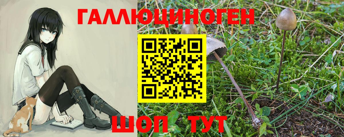Псилоцибиновые грибы Magic Shrooms Семёнов