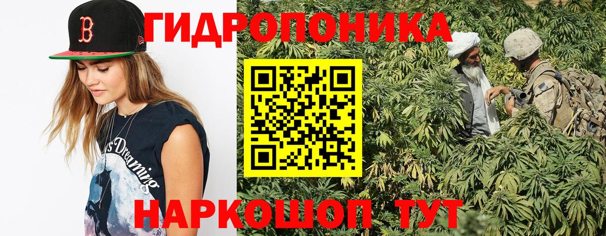 Шишки марихуана VHQ  Вход с VPN  Семёнов  Канабис гибрид  Шишки марихуана OG Kush 
